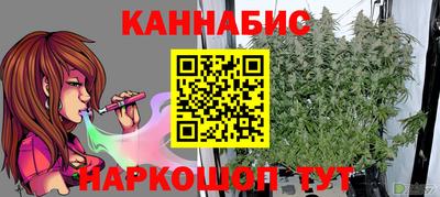 стафф Дубна