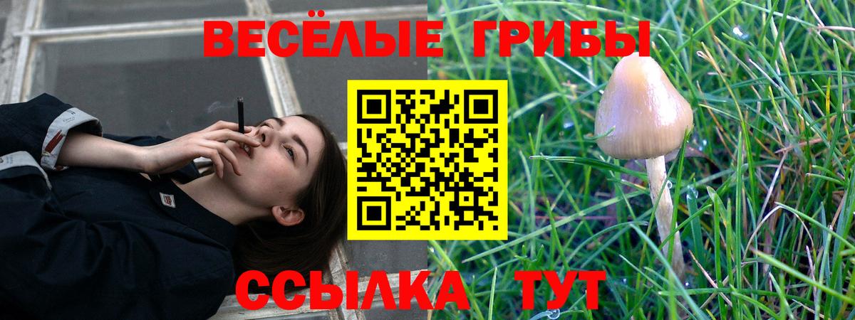 Галлюциногенные грибы ЛСД Медногорск