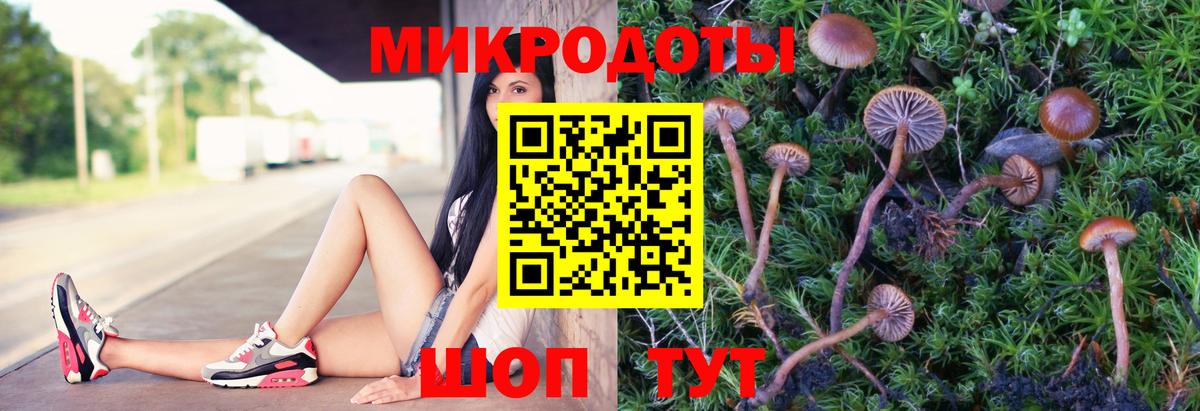 МЕТАДОН Медногорск