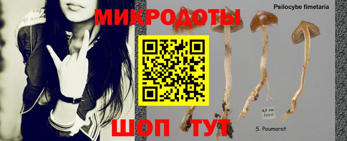 Галлюциногенные грибы ЛСД  Псилоцибиновые грибы GOLDEN TEACHER  Медногорск  Вход с VPN 